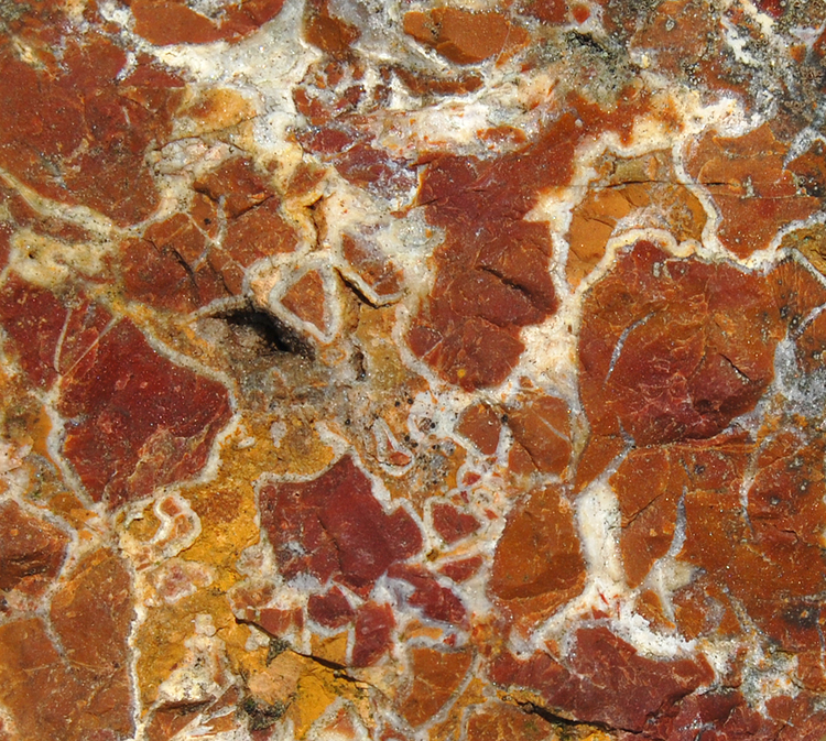 JASPER
