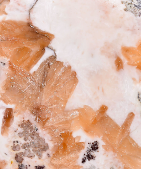 SCOLECITE