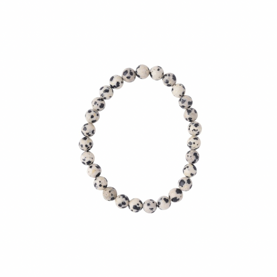 DALMATIAN JASPER BEADED BRACELET