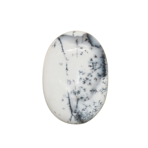 DENDRITE PALMSTONE
