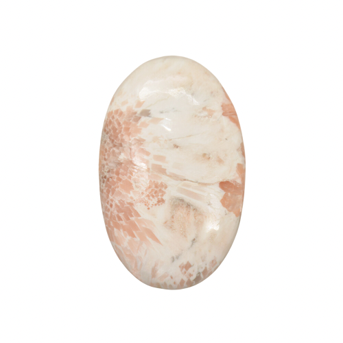 PINK SCOLECITE PALMSTONE