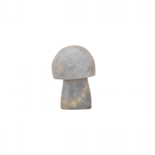 BLUE OPAL MUSHROOM