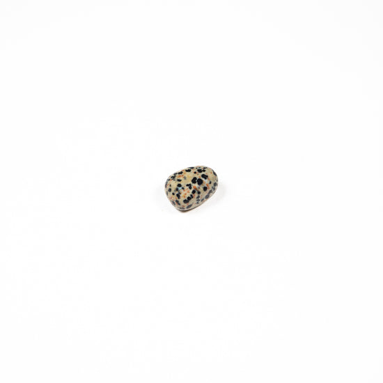 DALMATIAN JASPER TUMBLESTONE
