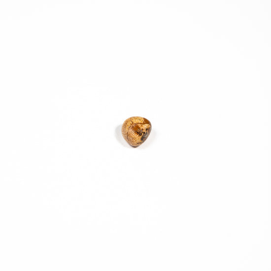 PICTURE JASPER TUMBLESTONE